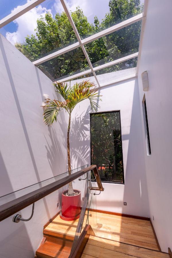 Casa Blanca in Coyoacan México DF Exterior foto